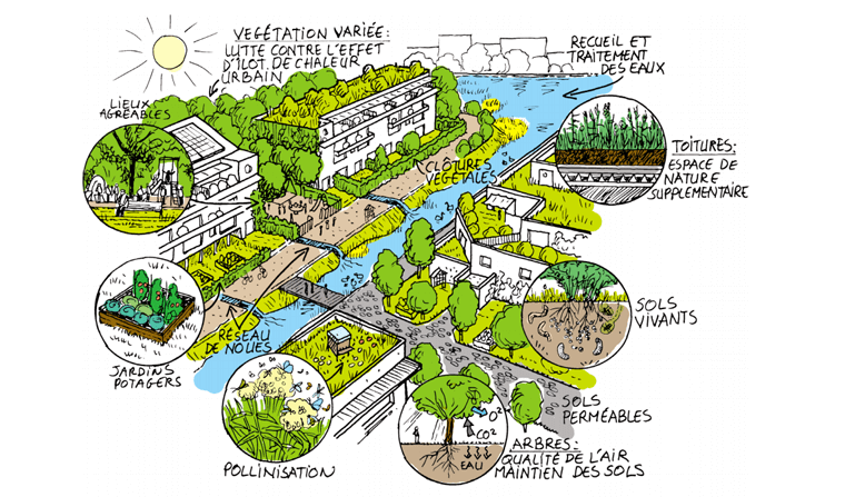 Remettre la nature au cœur de la ville