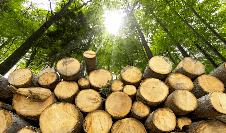 Le bois énergie et la qualité de l'air sont-ils compatibles ?