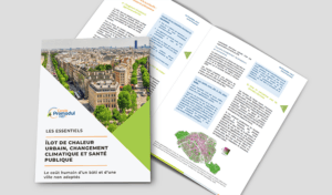Îlots de chaleur urbains et santé publique : ce que les études scientifiques révèlent et comment agir